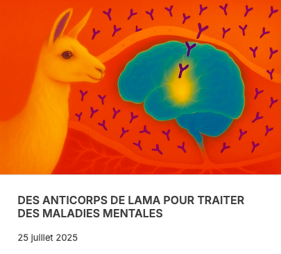 LAMA